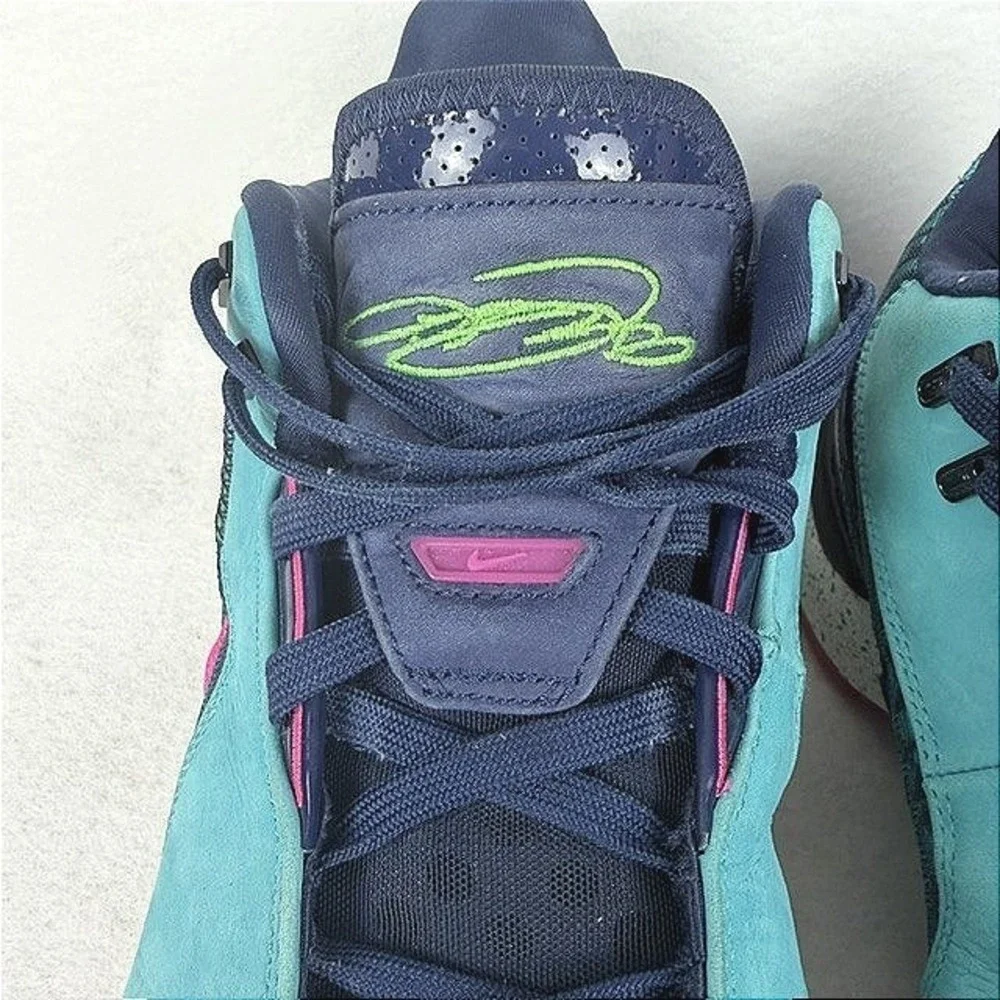 Nike lebron all
